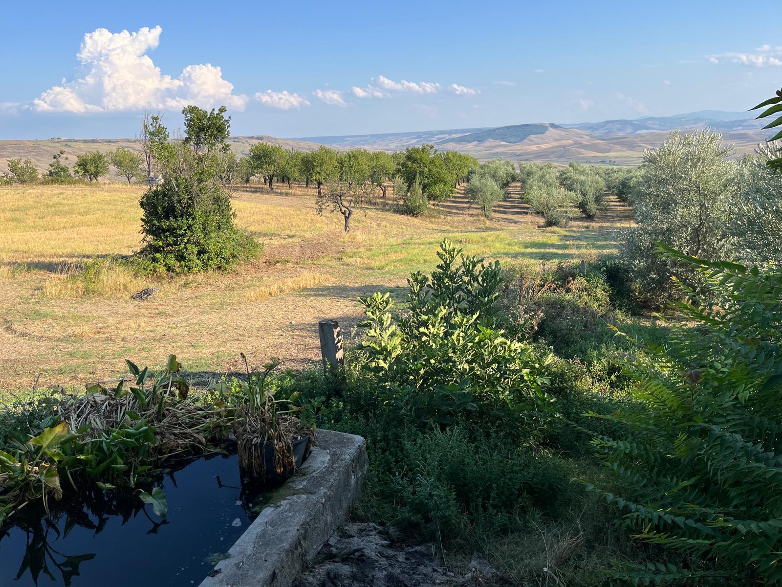 Masseria La Recupa